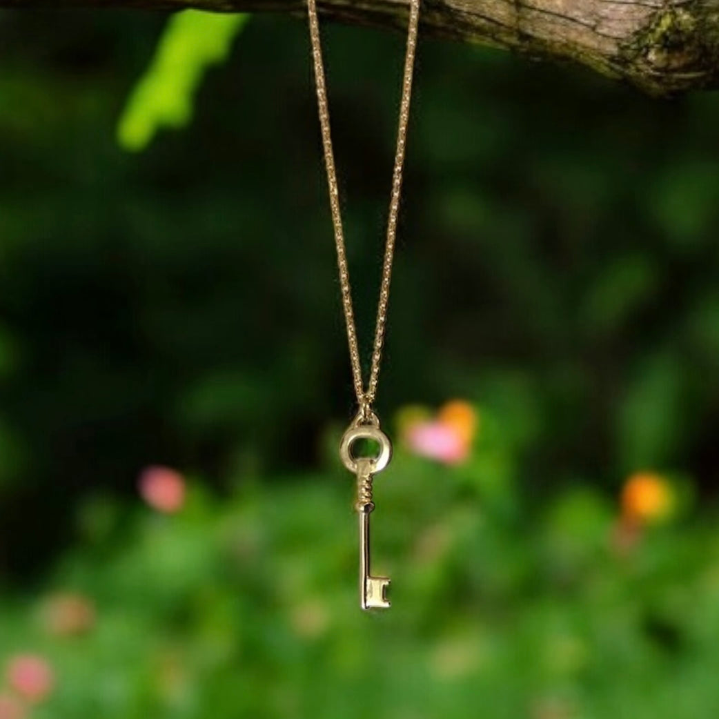 Enchanted Key Necklace 925