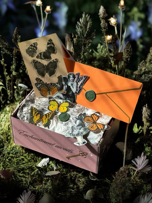 One-time Fairy and Butterflies Box
